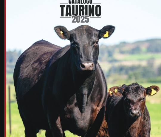 Catálogo Taurino 2024/25