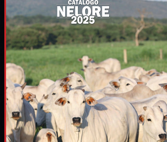 Catálogo Nelore 2025